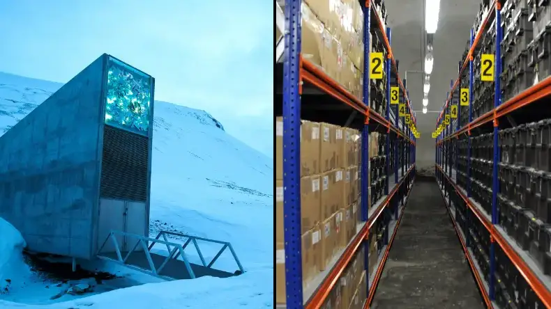 JUNGE, HEIKO/AFP via Getty Images/JACQUELINE PIETSCH/AFP via Getty Images