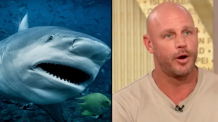 Paratrooper ‘thought he was going to die’ when shark ripped off his limbs in terrifying attack