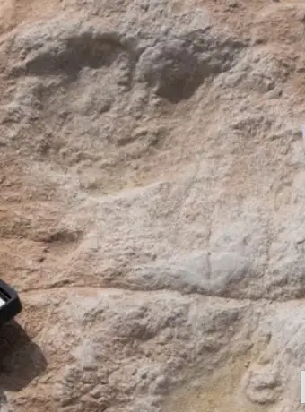 The footprints in question (Stewart et al./Science Advances)