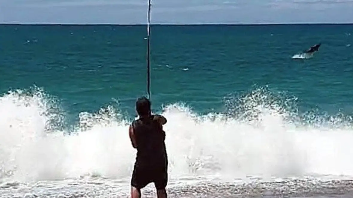 Fisherman Fighting To Reel In Fish Discovers He's Accidentally Hooked Great White Shark