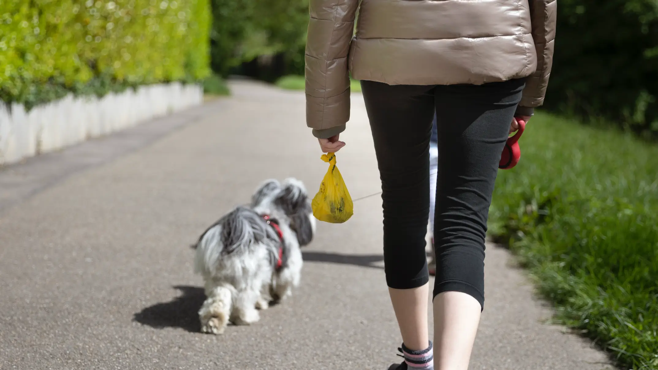 Serious health warning issued to anyone who has flushed pet's poo down the toilet