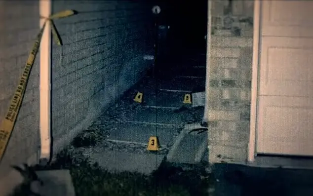 Gunmen burst into the family home and fatally shot the mum.