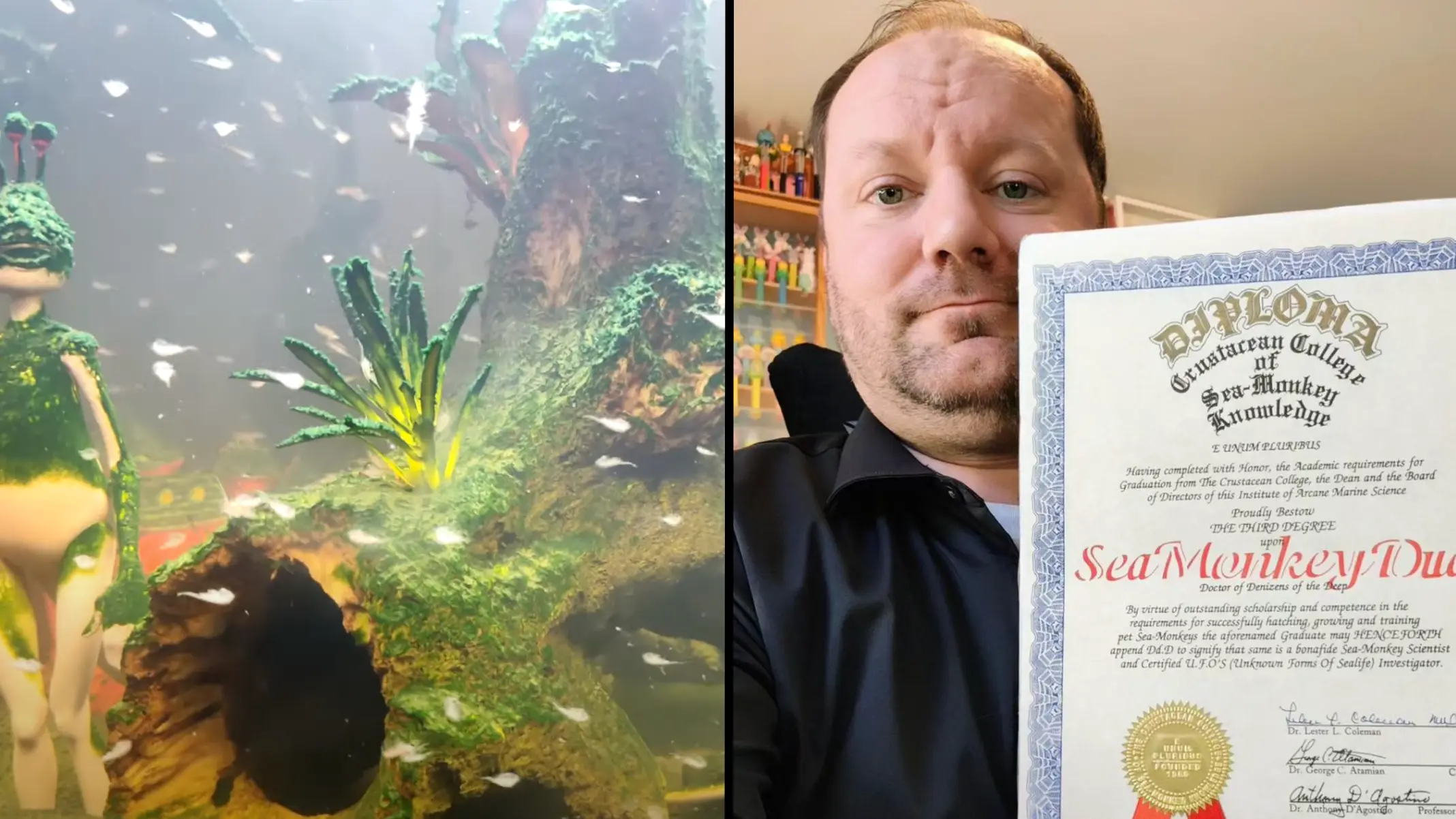 Instagram/@seamonkeydudejon