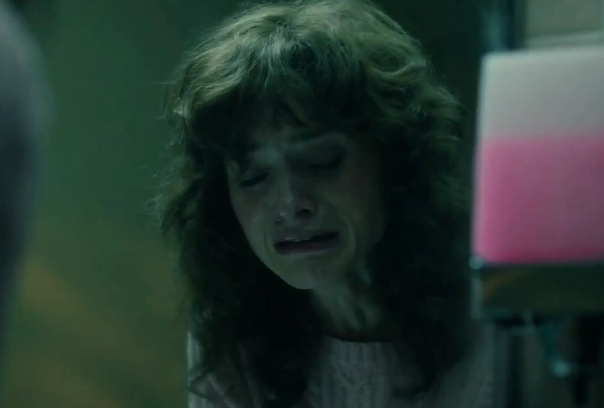 Steve's death has been a long held fan theory (Netflix)