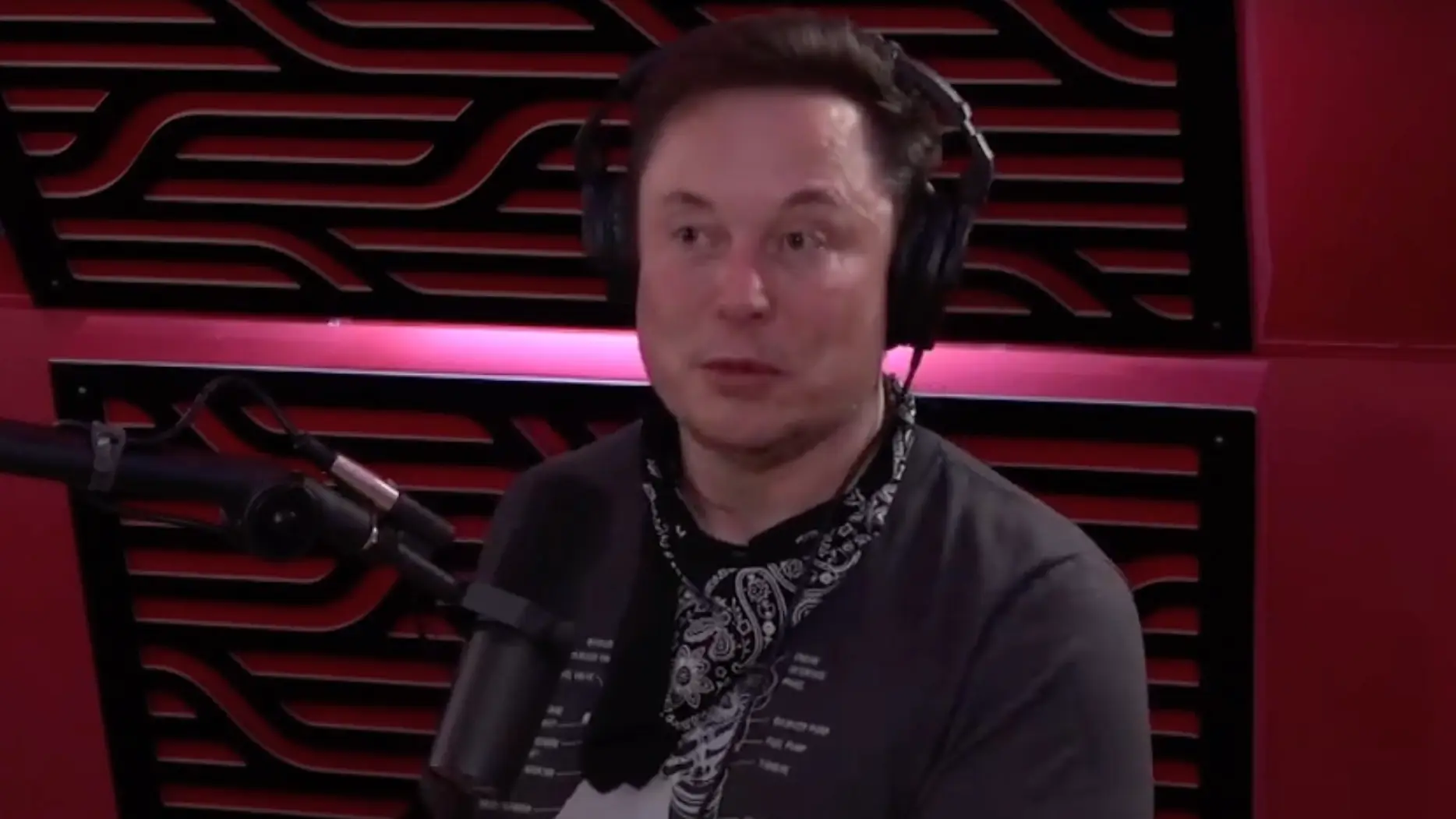 YouTube/Joe Rogan Experience