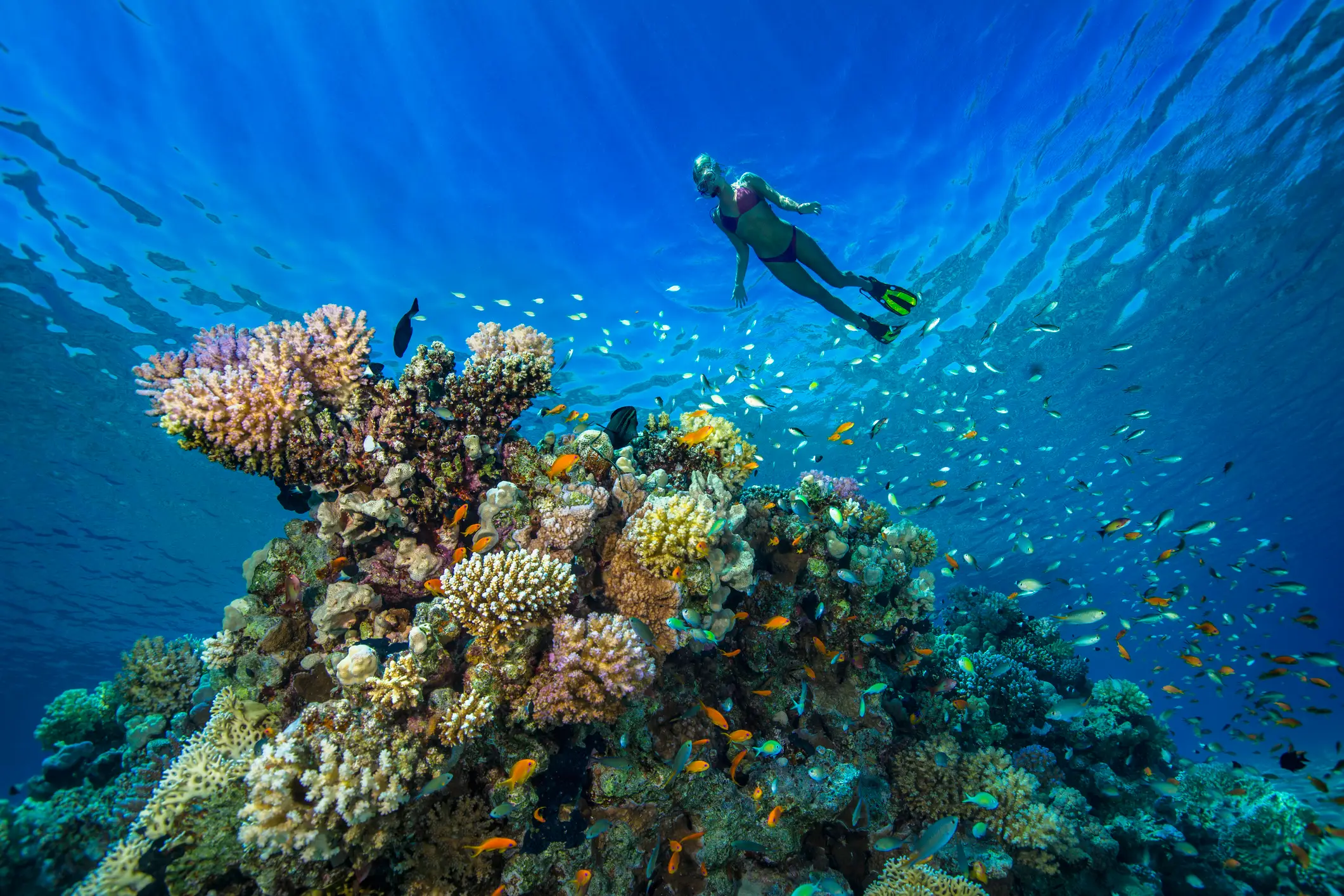Hurghada is popular with tourists due to views of the coral reef (Getty Stock Images)