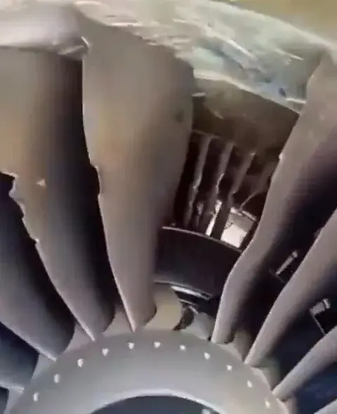 The blades on the jet engine were damaged (x/aviationbrk)