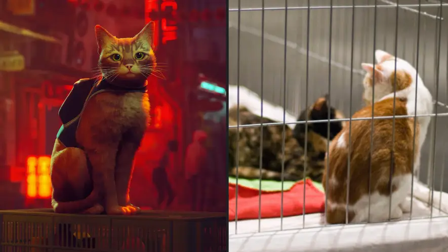 PlayStation / BlueTwelve Studio / Annapurna Interactive / YouTube. Alamy Stock Photo.