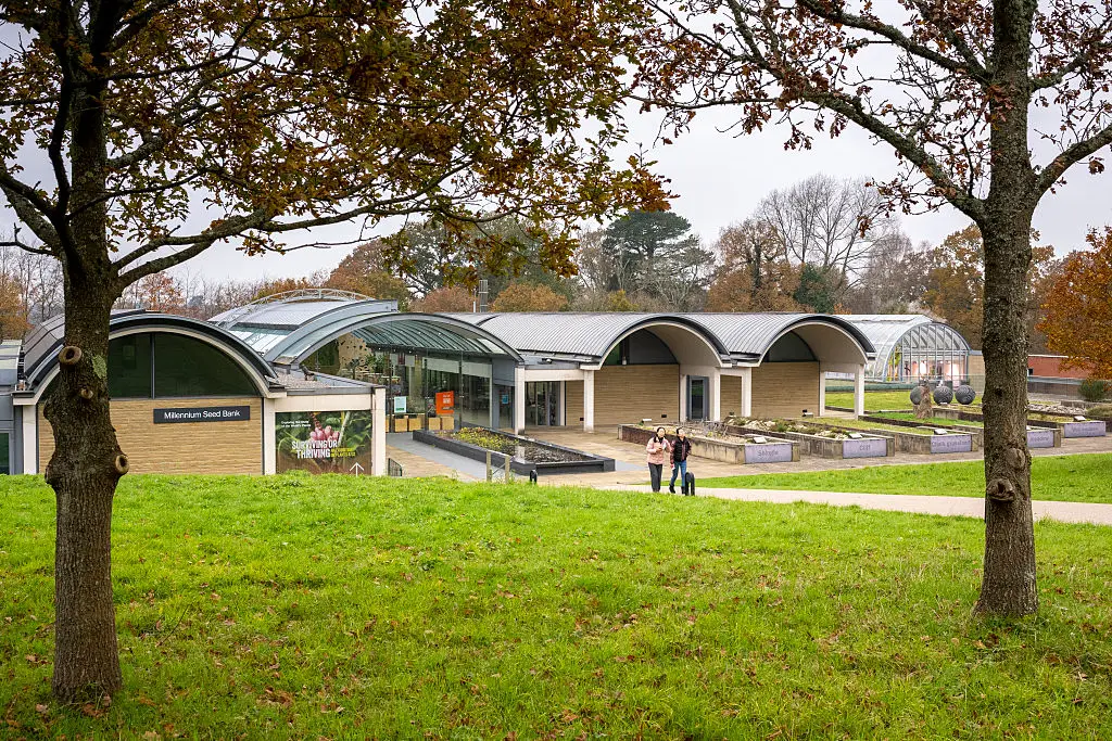 The Millennium Seed bank contains the world's biggest vault of seeds kept frozen and safe beneath the ground (Tim Graham/Getty Images)
