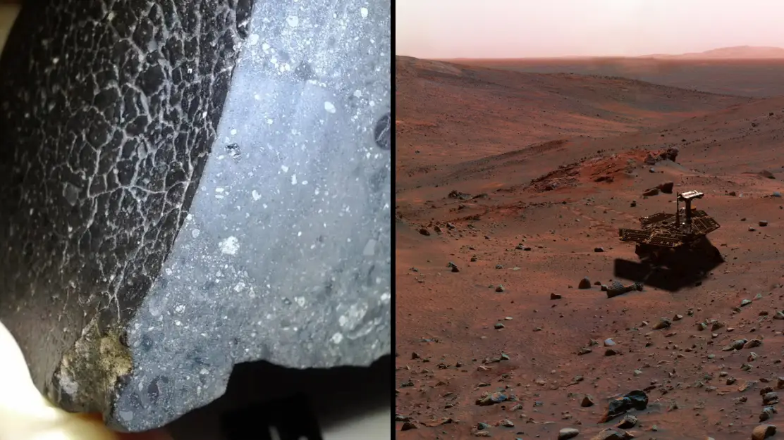 University of New Mexico/Getty Stock Image