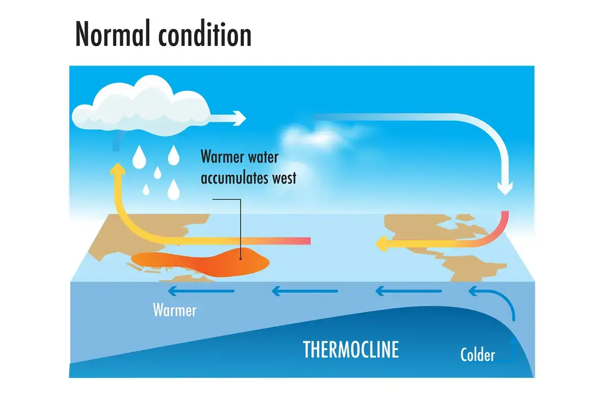 How an El Nino happens against normal conditions (Getty)