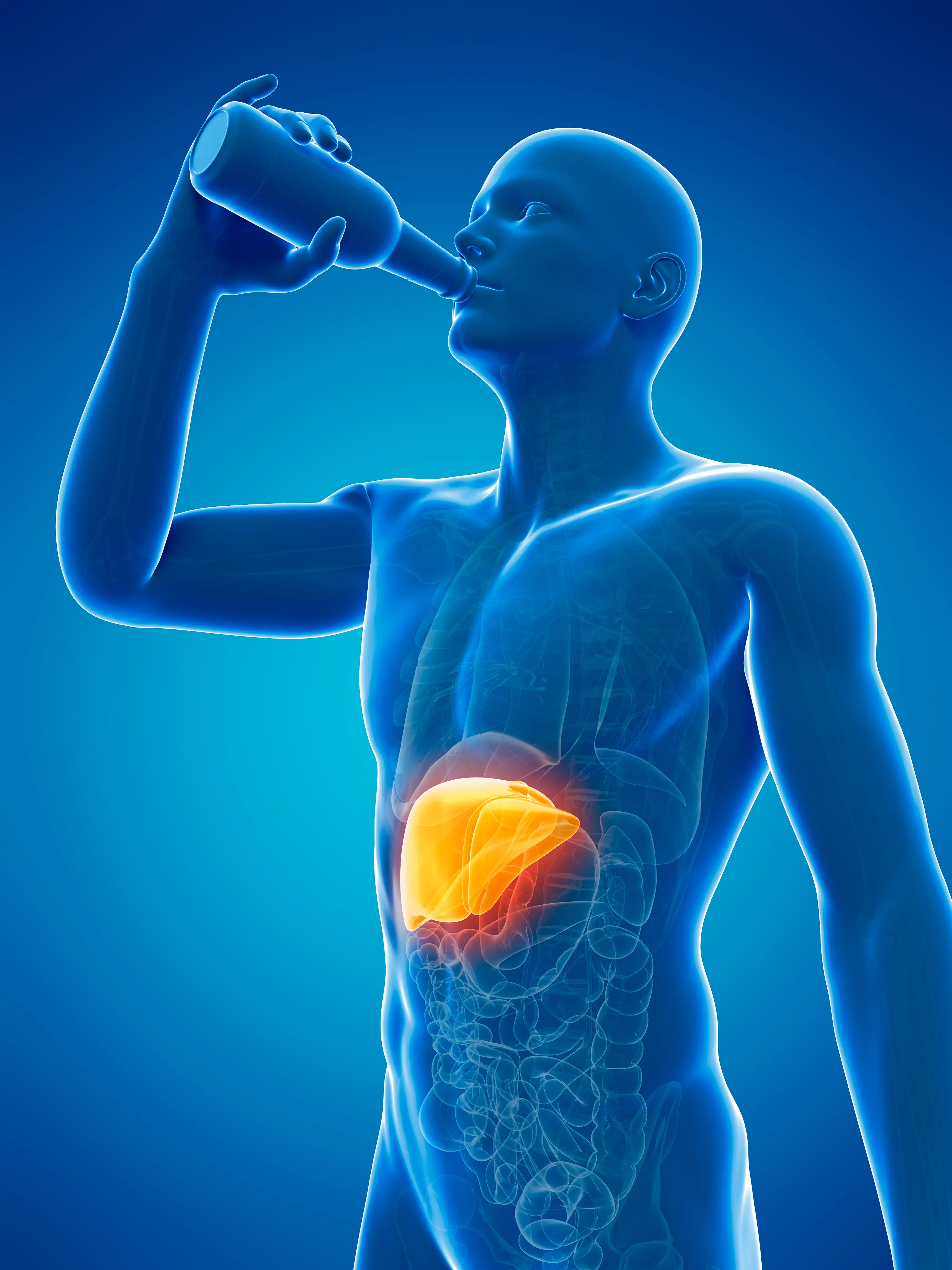 It's not exactly a secret that the liver and alcohol are hardly friends (Getty Stock Image)