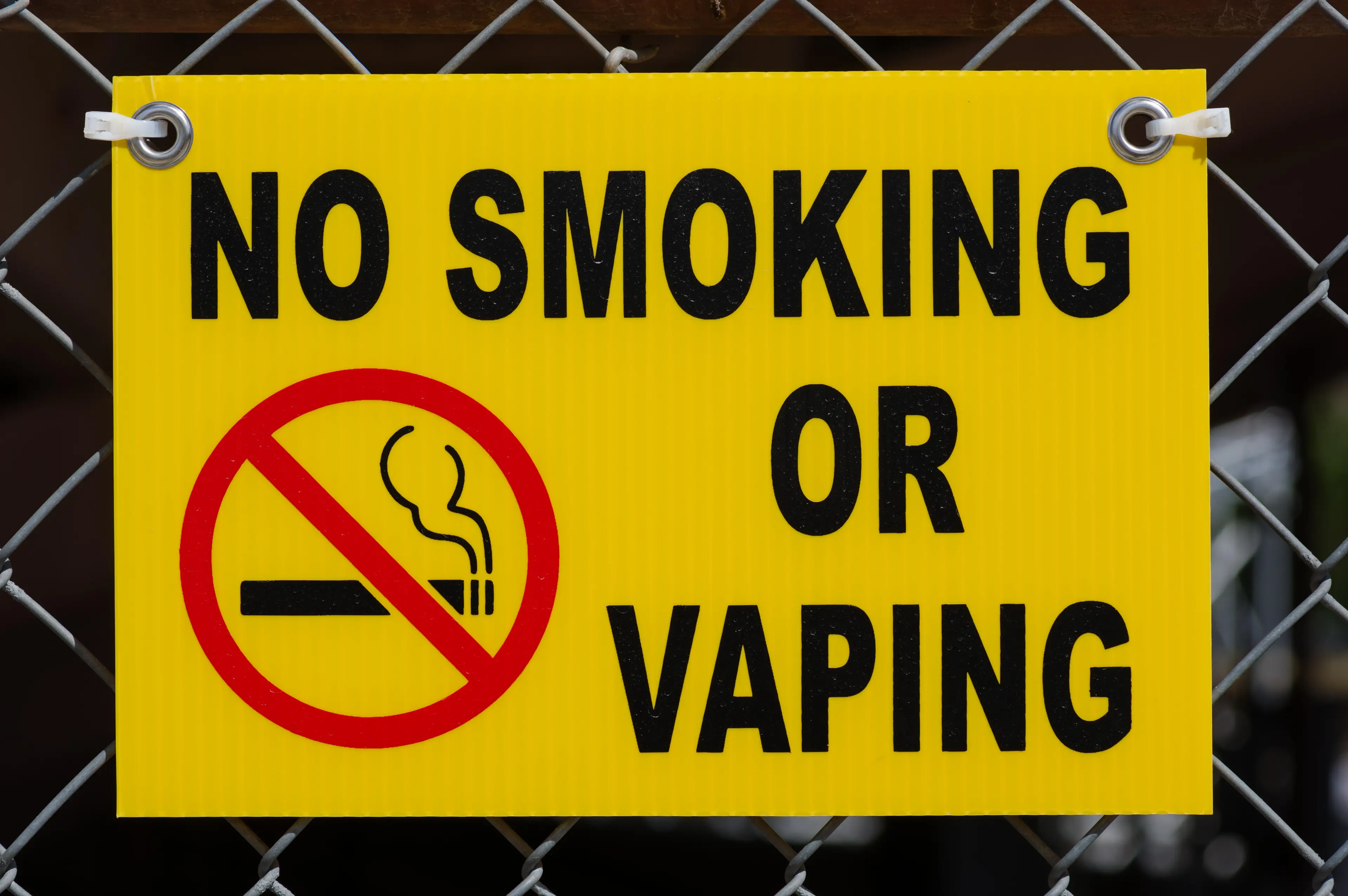 If the proposal passes then the sale of flavoured vapes will be banned in EU member states.