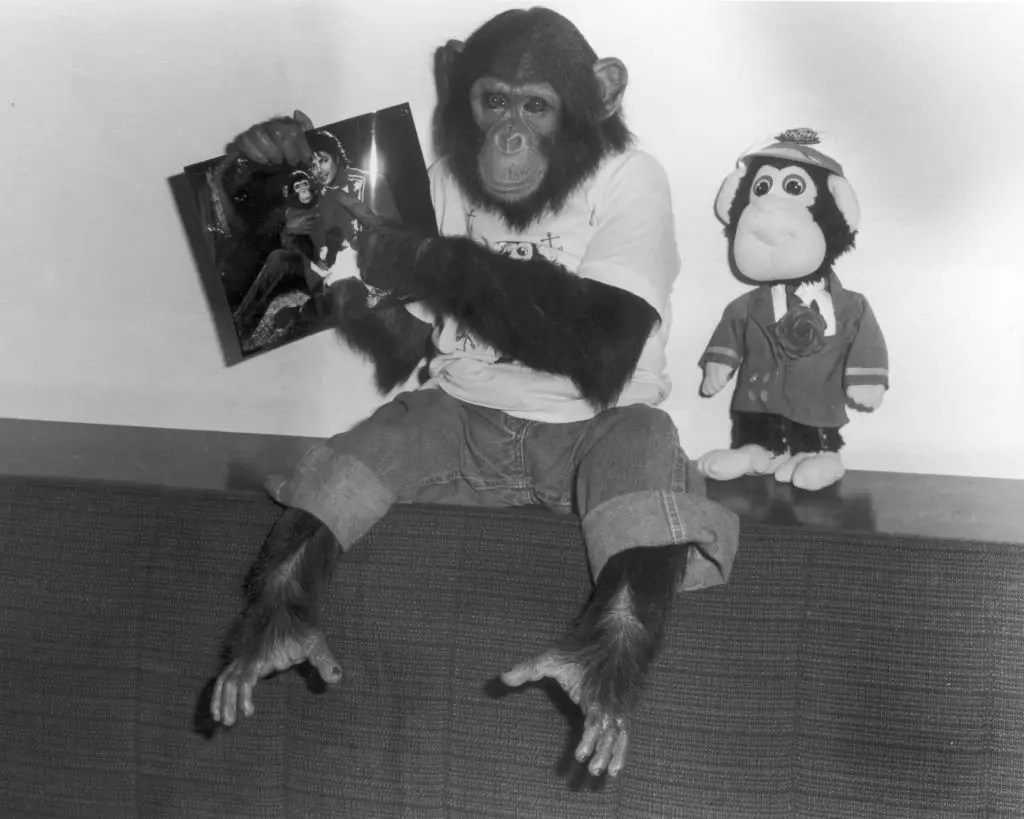 Bubbles and Jackson parted ways in 2003 after he got too big and strong to keep around the house as a pet (Hulton Archive/Getty Images)