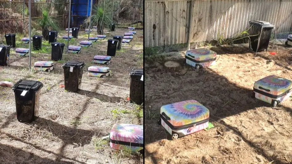 Nearly 70 decomposing bodies left to rot in suitcases for an important reason