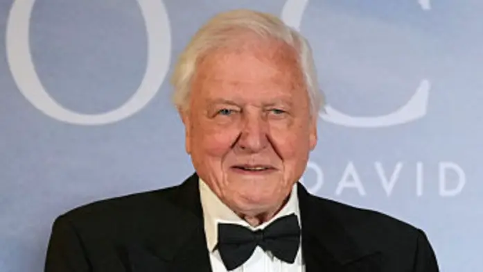 ALASTAIR GRANT/POOL/AFP via Getty Images