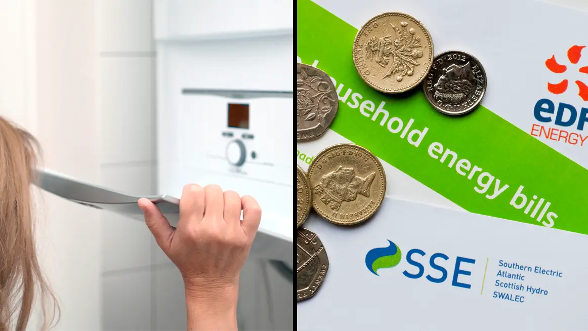 Victor Kuznetsov/PURPLE MARBLES/Alamy