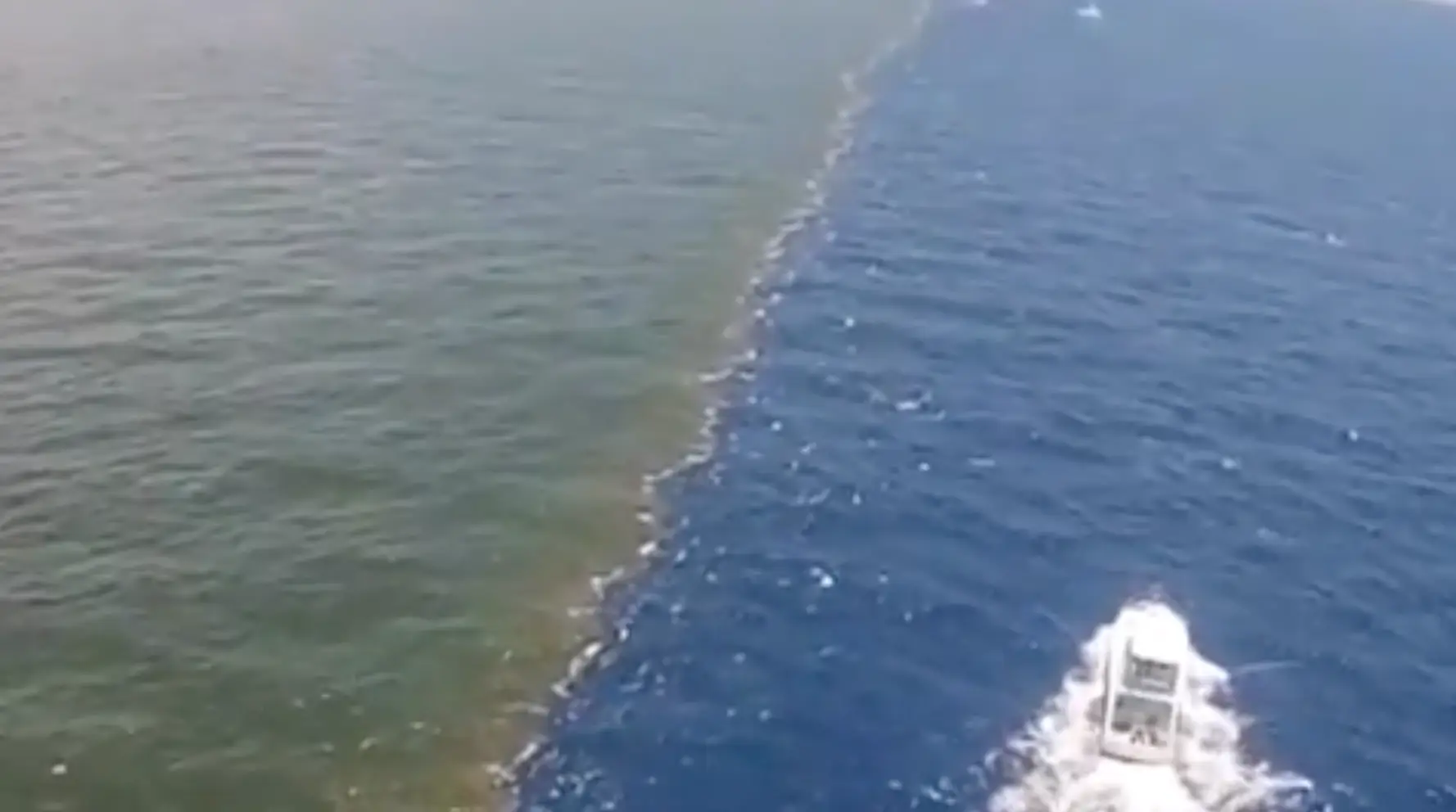 The contents of the water is ruining the environment. (AuxGod / X)