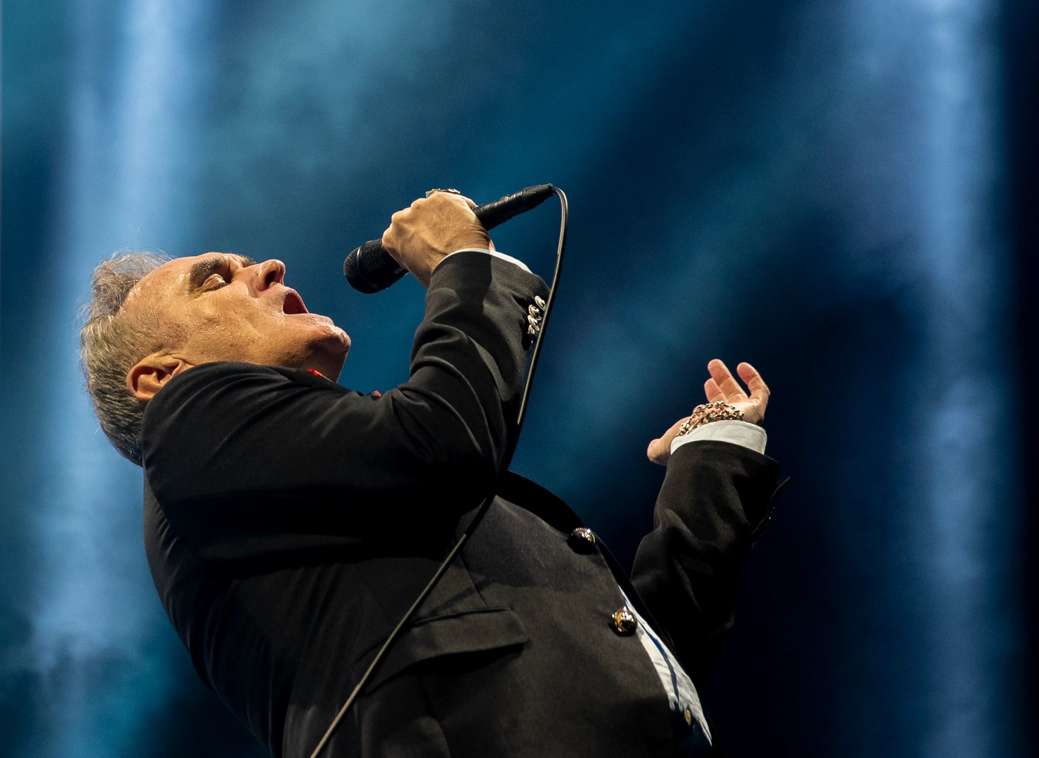 Morrissey fans are excited for this 'exclusive' show  (Allen J. Schaben / Los Angeles Times via Getty Images)
