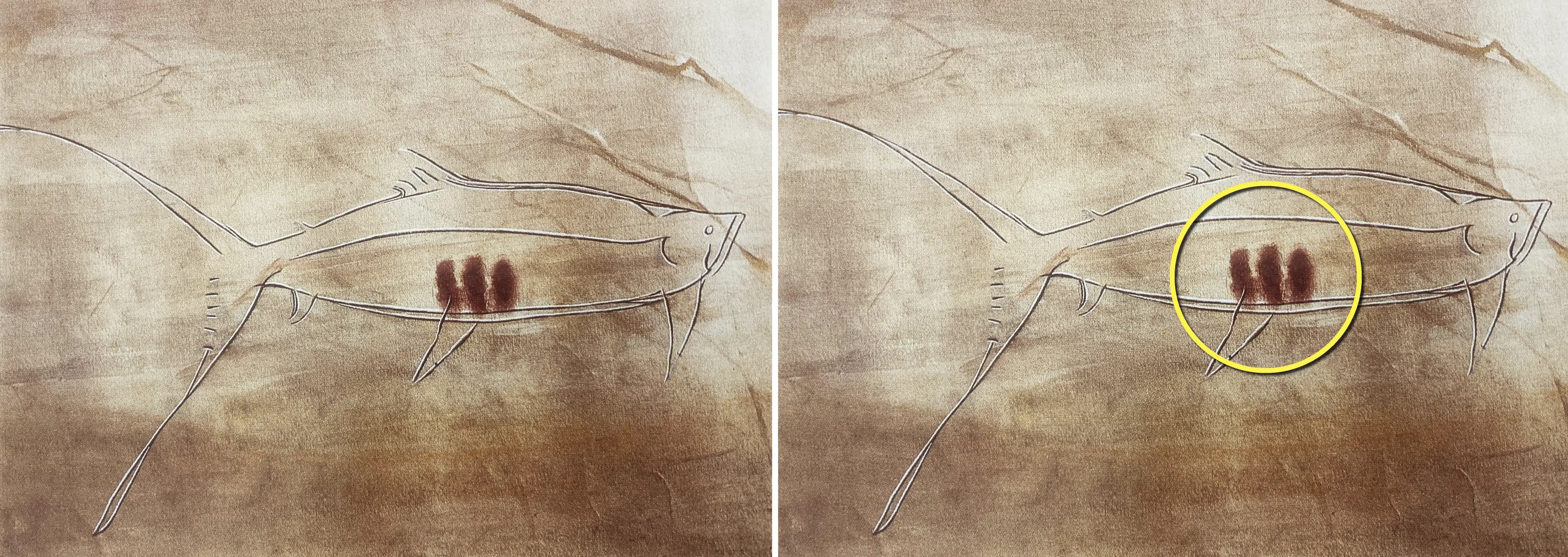 The markings had remained a mystery for centuries.