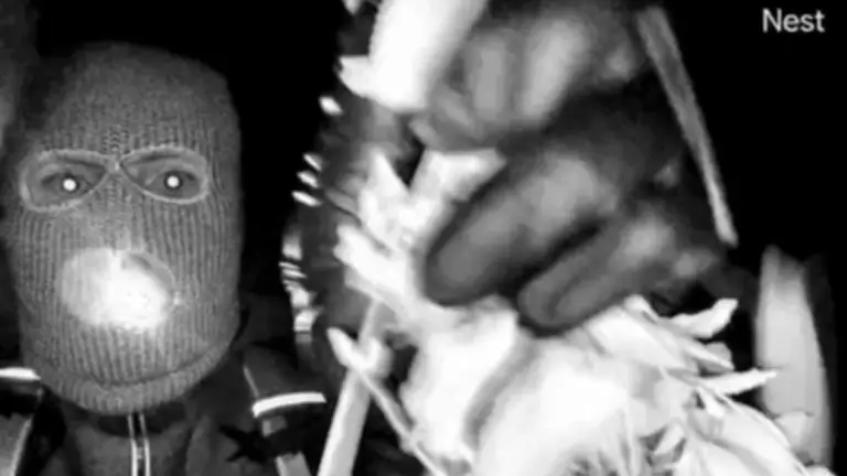 Footage of what appeared to be the kidnapper was captured on her doorbell (FBI)