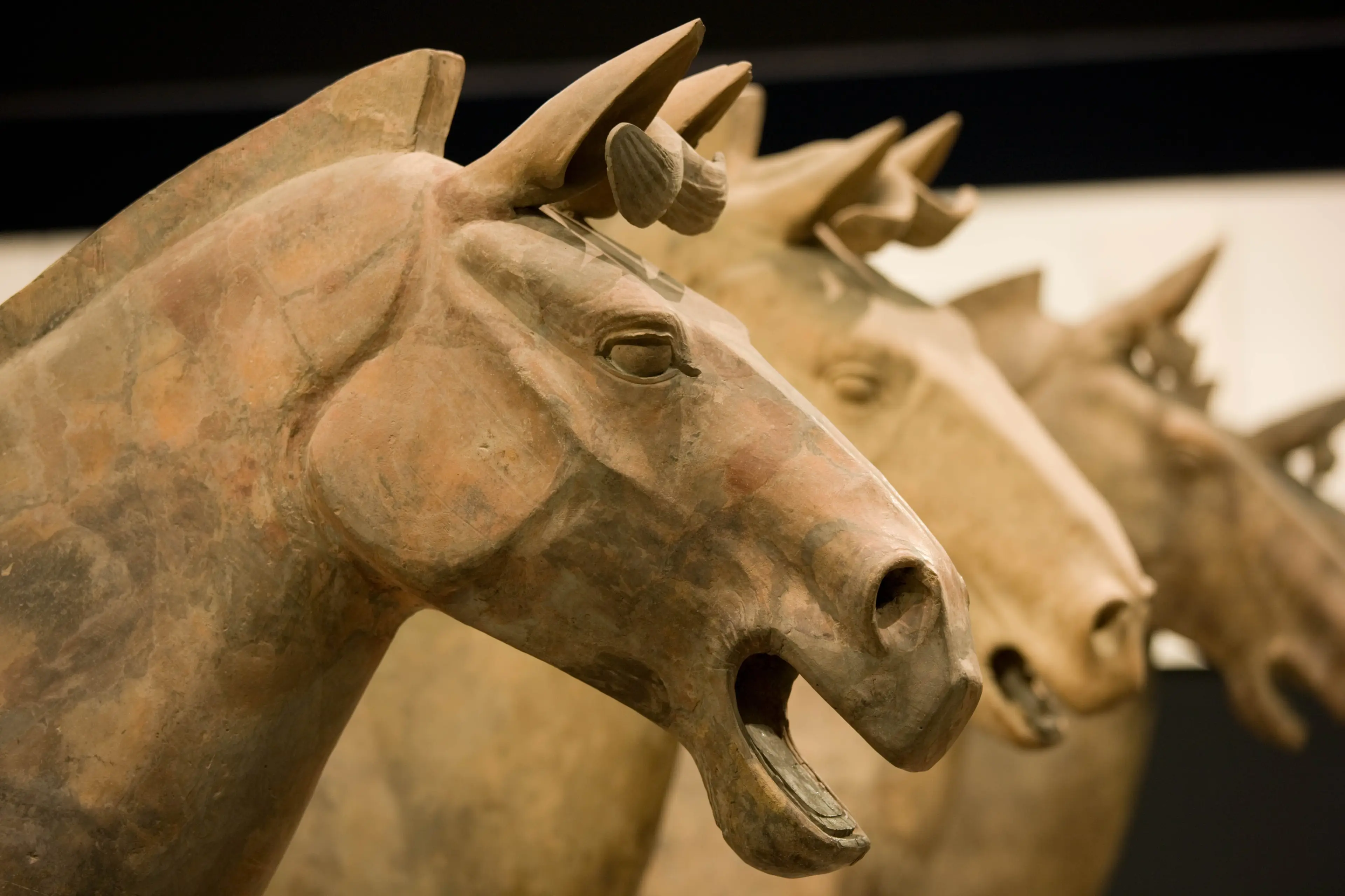 Terracotta horses were also uncovered (Tim Graham/Getty Images)