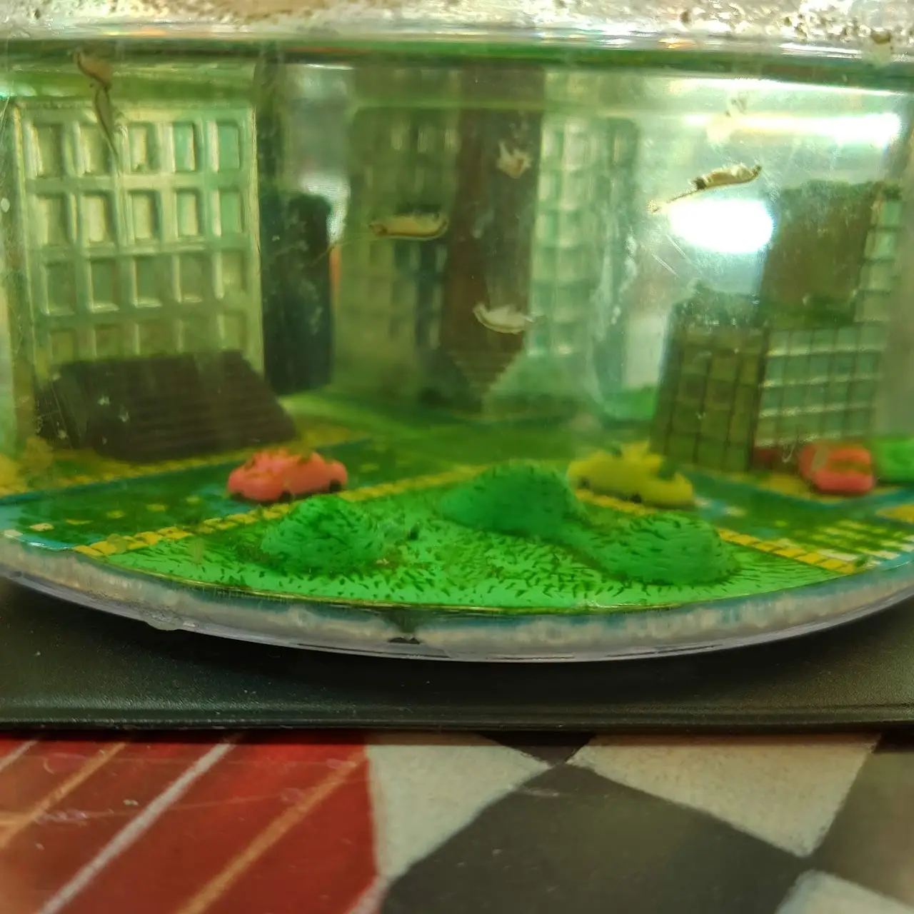 He has strict rules to follow to make it successful. (Sea Monkey Dude) 