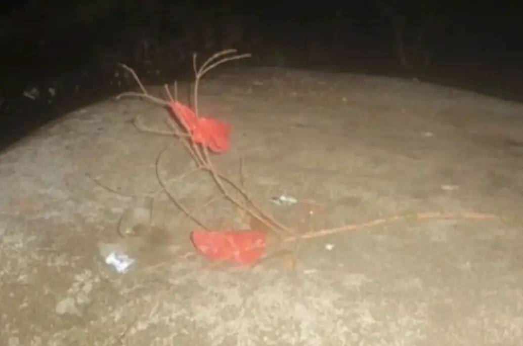 The unusual photos were found on the camera.