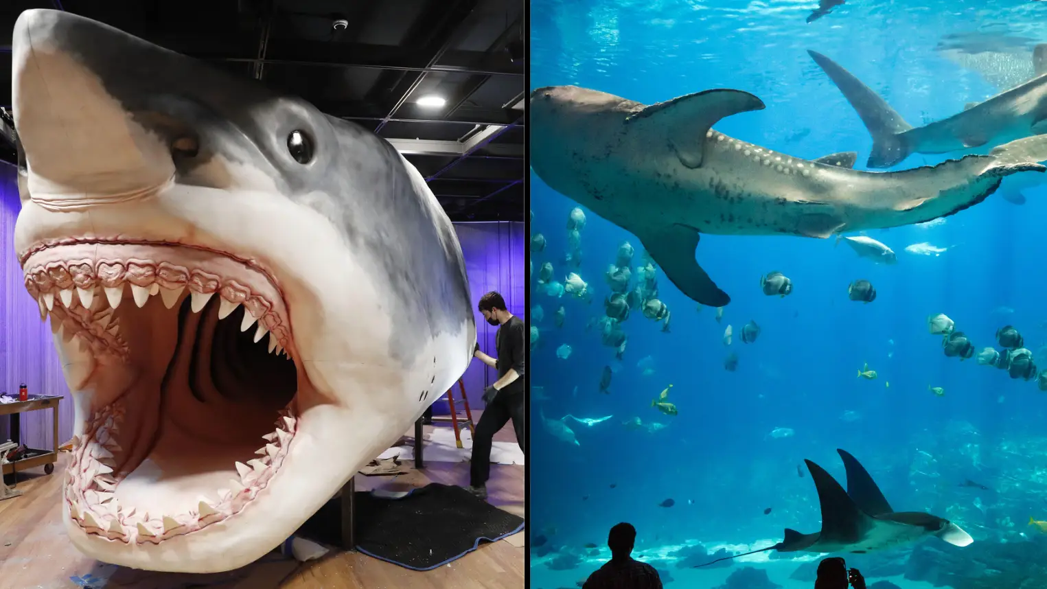 Gabriele Holtermann/Sipa USA/Alamy. Alamy