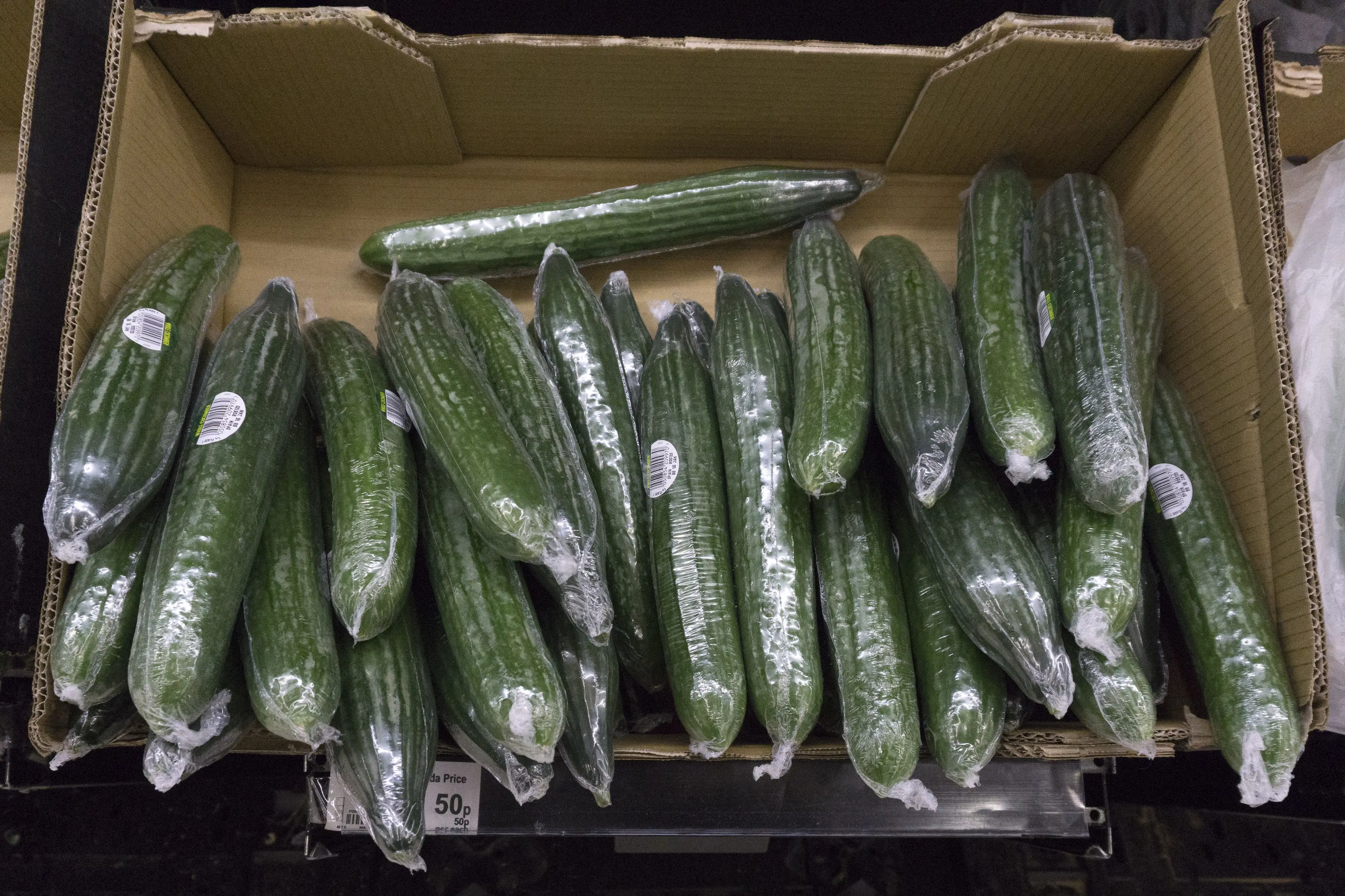 The salad update comes amid drought news in the UK (JUSTIN TALLIS/AFP via Getty Images)
