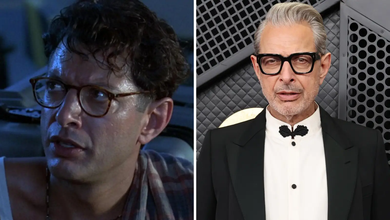 Jeff Goldblum as David Levinson (20th Century Fox / Amy Sussman/Getty Images)