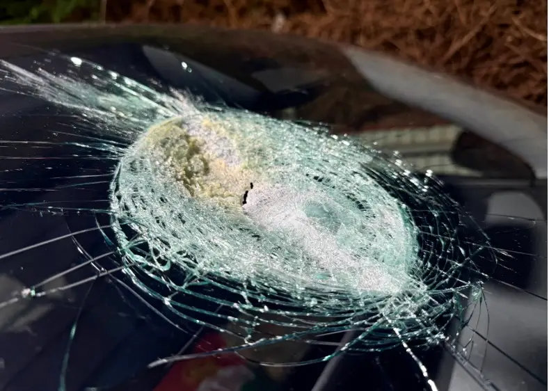 Dr Andrew Melville-Smith's took a beating from what he believes was a meteorite (South Australian Museum)