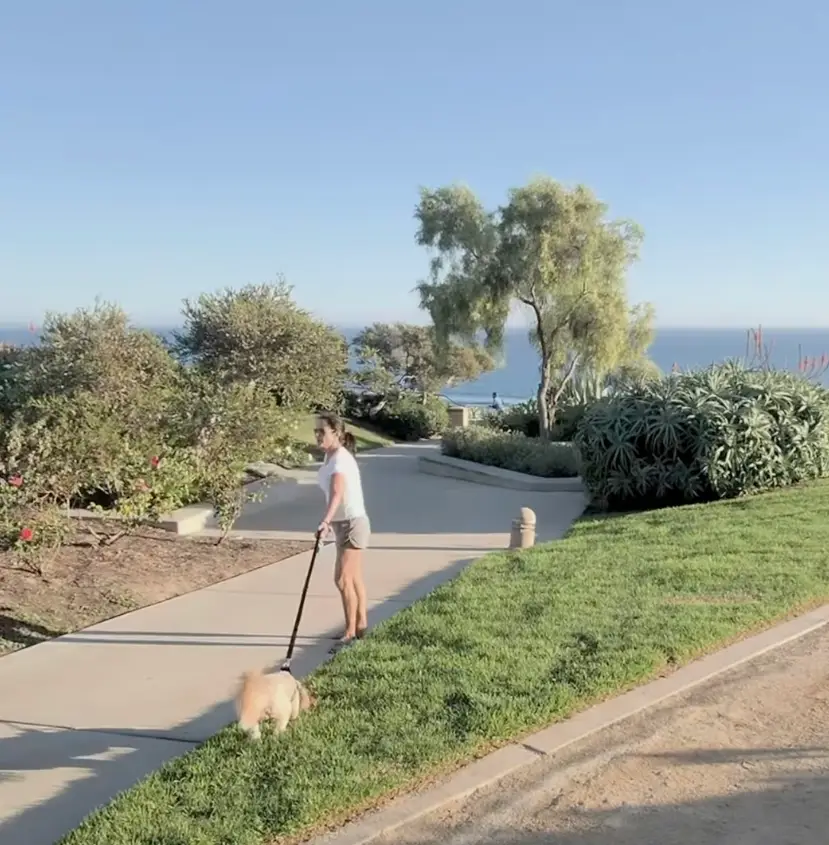 Trinity had been waiting to capture the proposal (trinityfilmsofficial/Instagram)