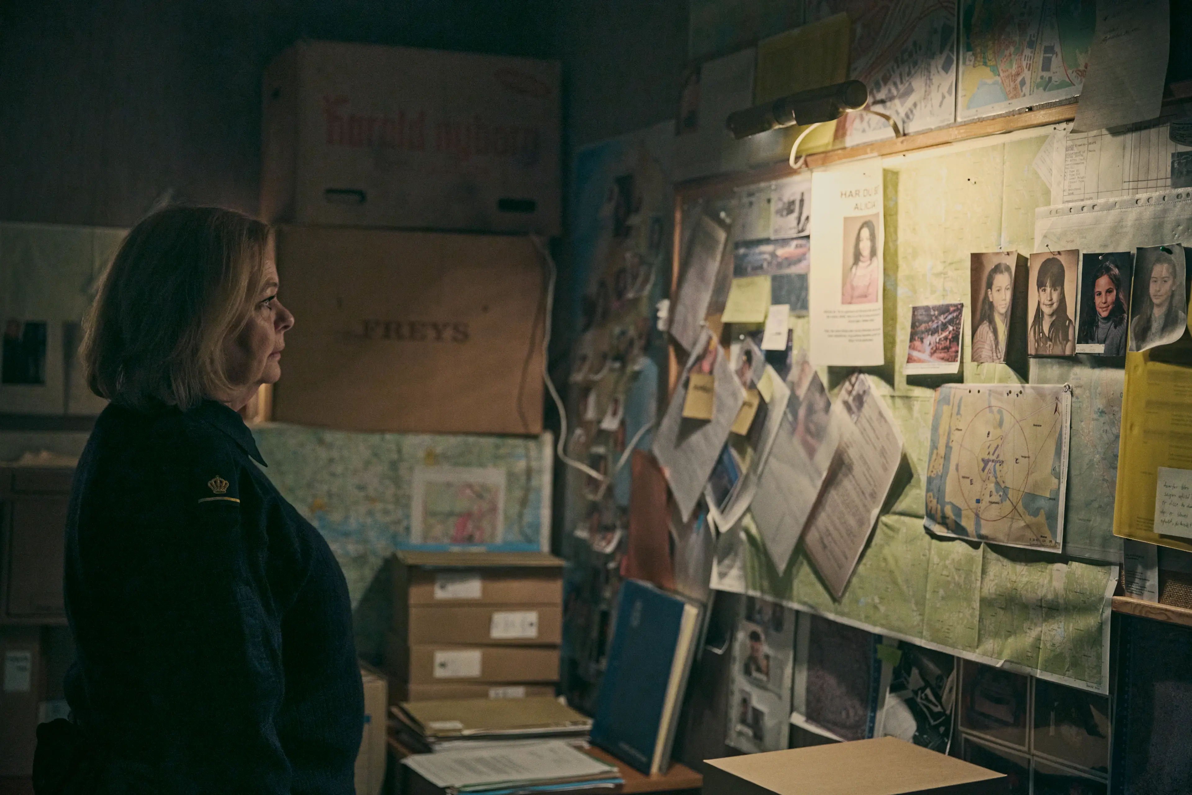 The show is a mystery thriller (Netflix)