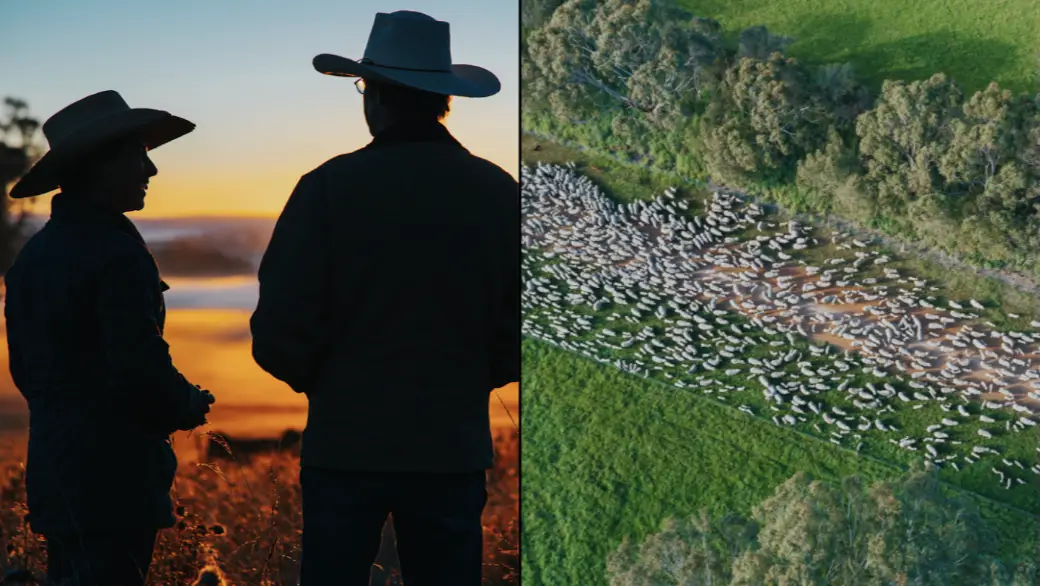 Australian Good Meat.