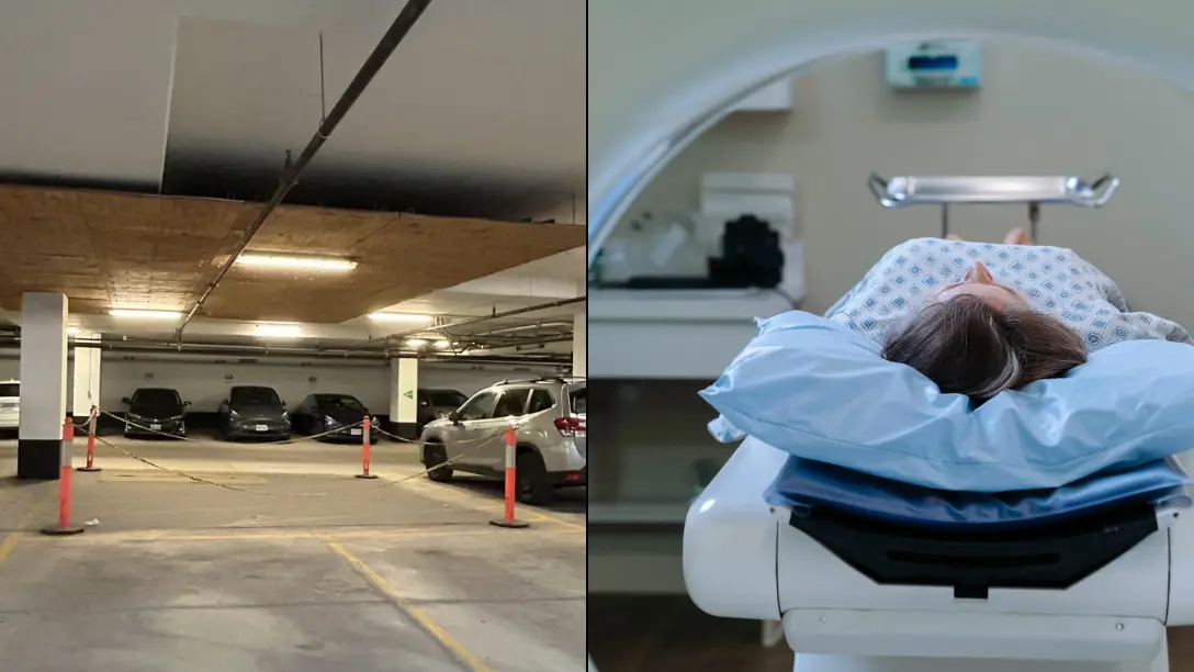 Reddit/celeste_ai/Getty stock