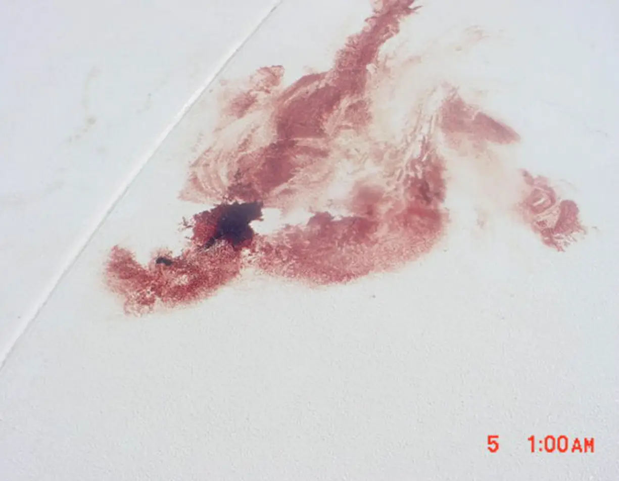A blood stain was found on the side of the ship. (Royal Caribbean)