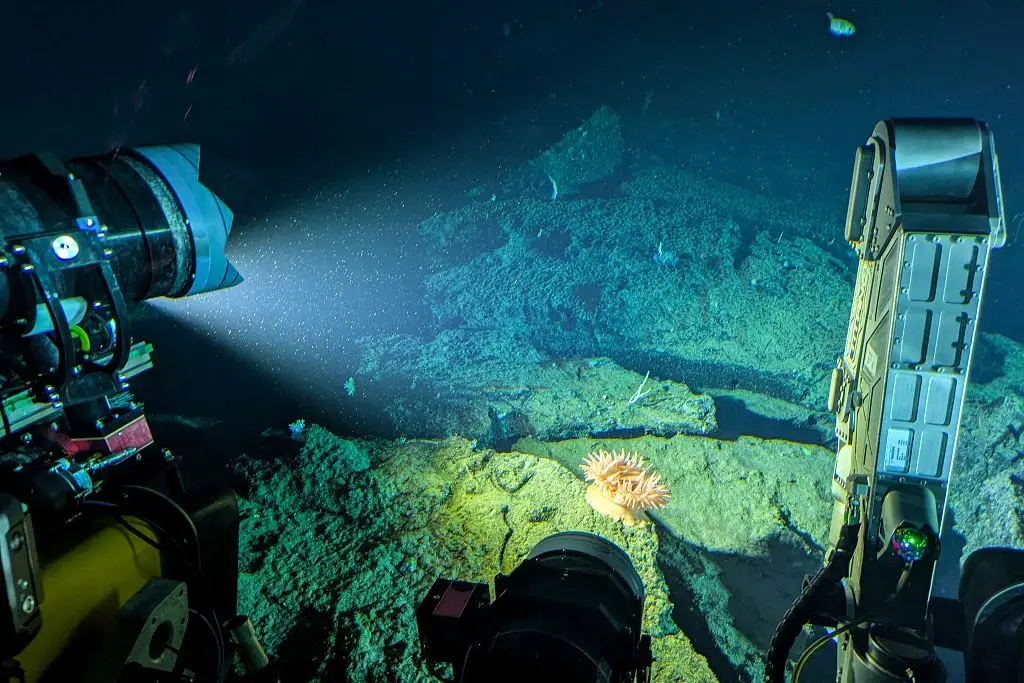 A submersible around 900 metres below the surface (Sara HUSSEIN / AFP via Getty Images)