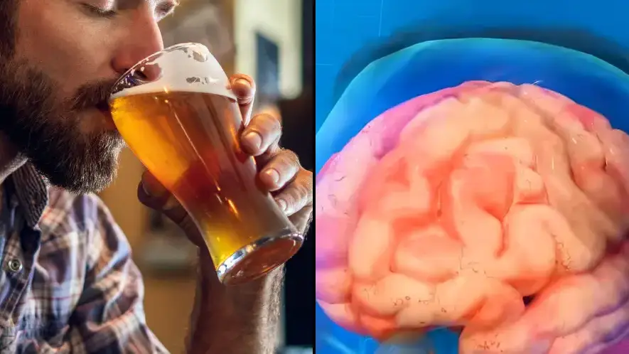 Sobering simulation shows everything that happens to your body when you drink alcohol