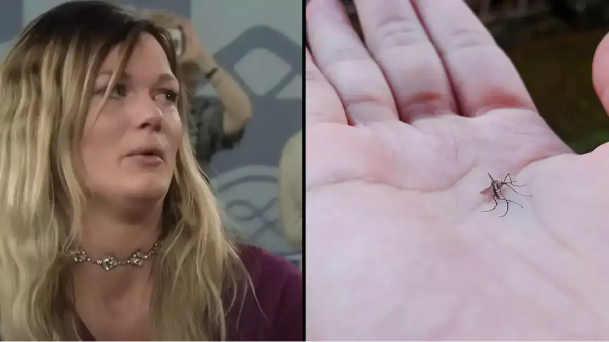 PBS / Getty Stock Photo