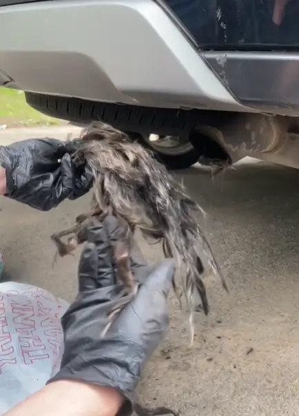 The women were scared it was a dead animal, or worse. Kimberly DeFisher/tiktok