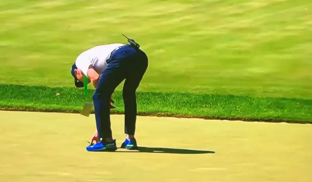 The bird was not moving. (X/@Daniel_Rapaport)