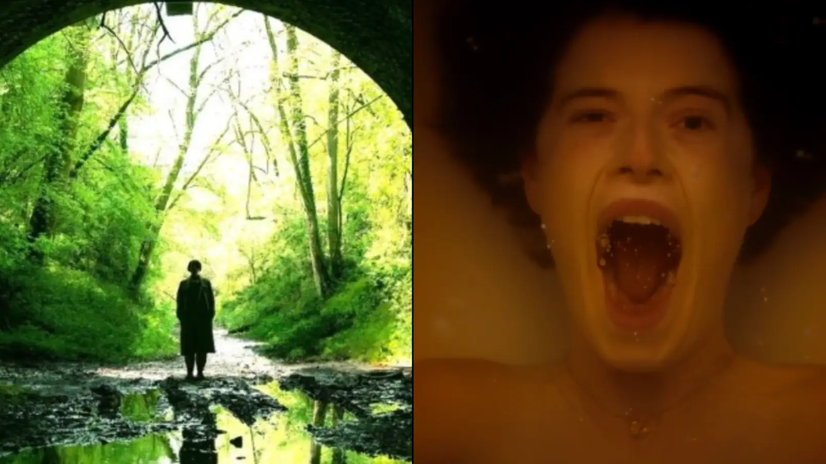 Terrifying New Horror Is Being Called The 'B*****d Child' Of Hereditary And Get Out