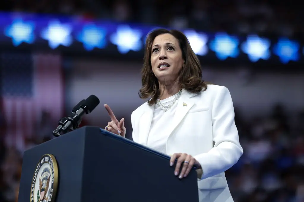 Kamala Harris is running for the Democratic party (Win McNamee/Getty Images)