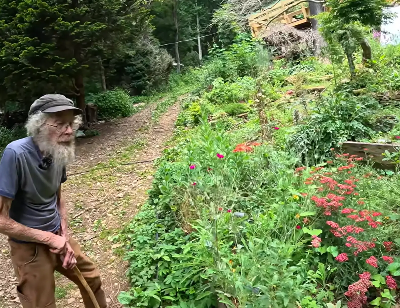 Joe Hollis spent decades living in the woods supporting himself by growing his own food (YouTube/Peter Santenello)
