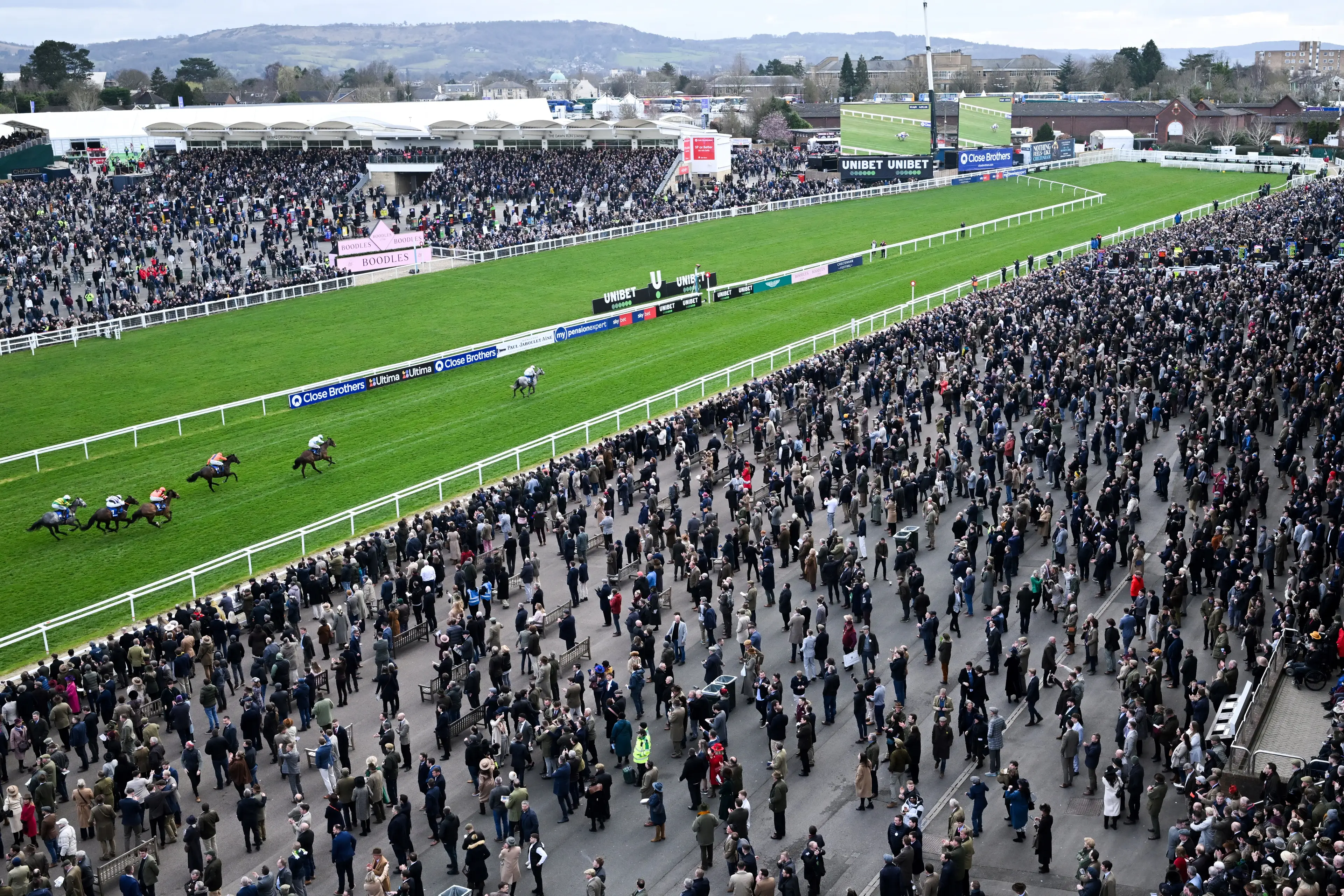 Cheltenham attendance figures are the lowest they've been since 1993 (JUSTIN TALLIS/AFP via Getty Images)
