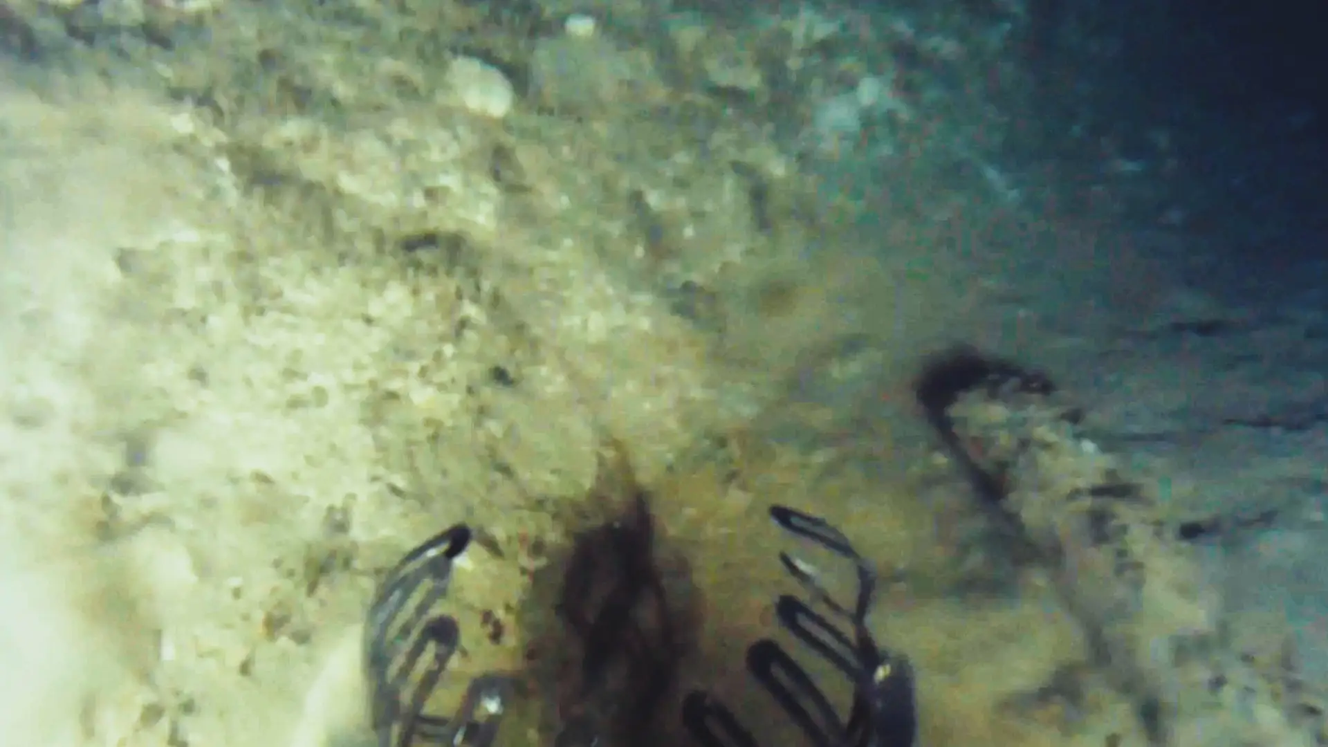 Underwater missions have discovered the shipwreck and now efforts will be made to recover the sunken gold.