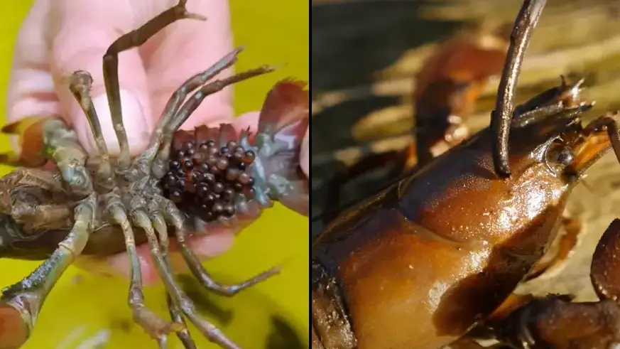 NWWT / YouTube/Angling Trust