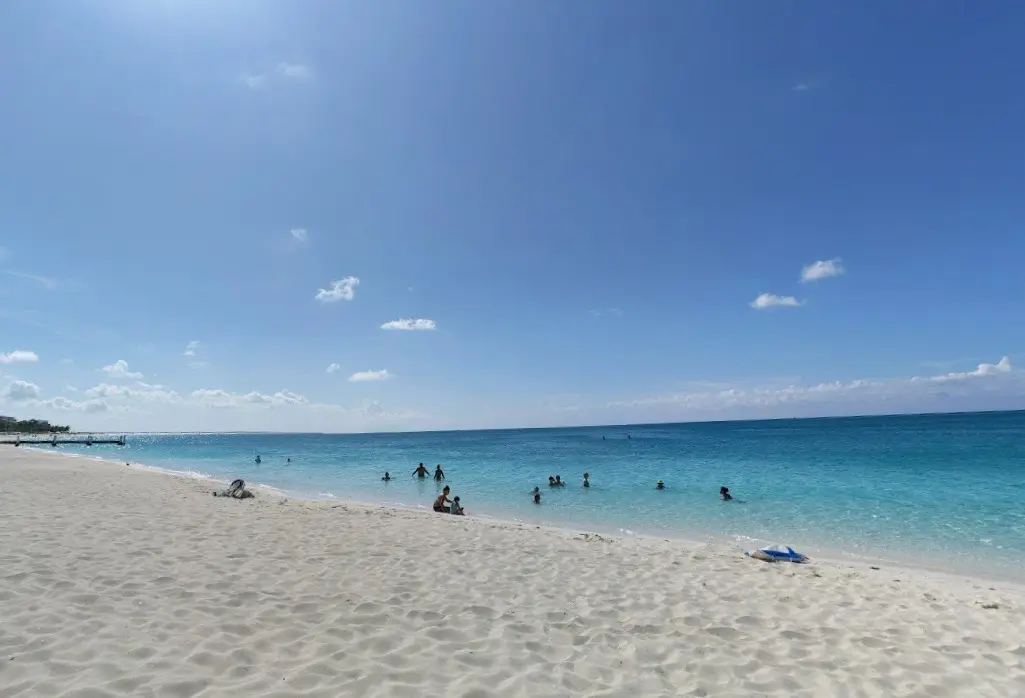As the two friends were swimming off Grace Bay Beach during a private boat tour, the 22-year-old was believed to have been bitten by a Caribbean reef shark.