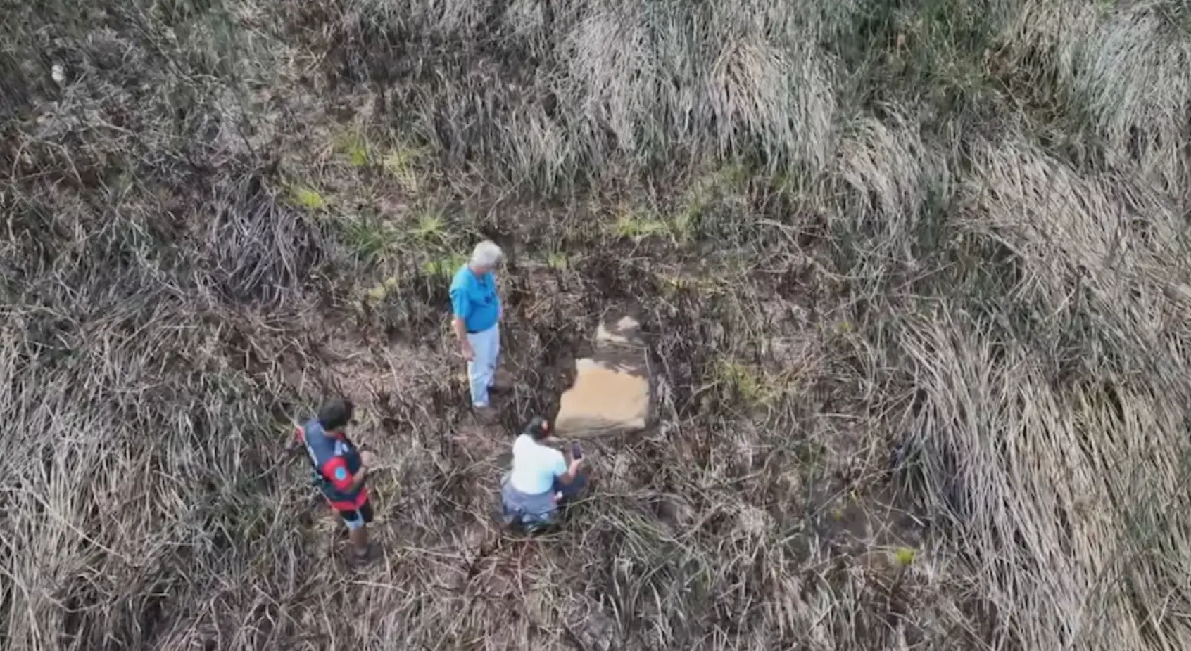 A new moai has been discovered on Easter Island (ABC News)